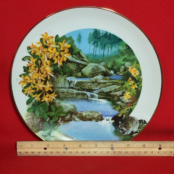 VTG Decorative Plate Royal Windsor Wild Honeysuckle Wildflowers of the South - Picture 10 of 11